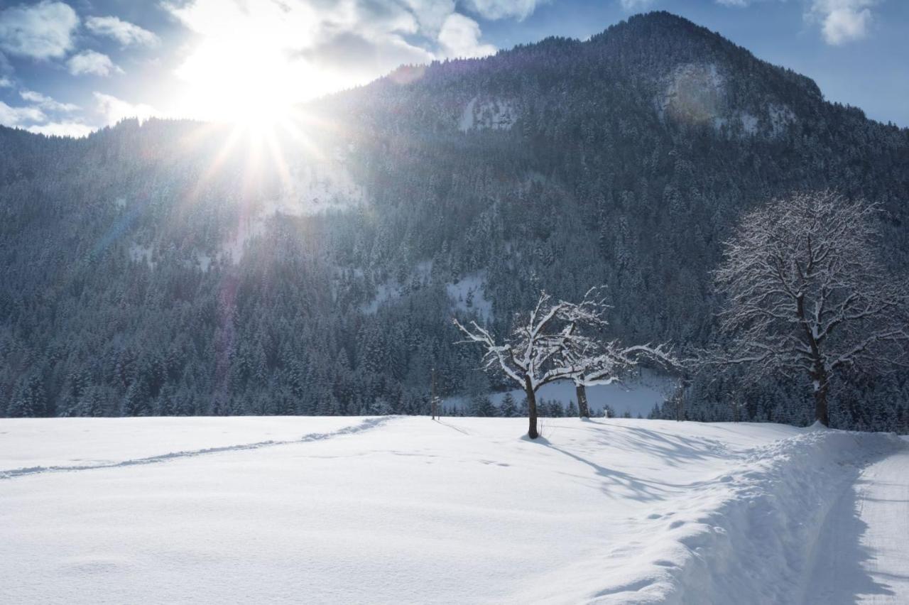 Gaestehaus Midi Reith im Alpbachtal Exterior foto